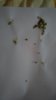 P_20170302_124514_vHDR_Auto.jpg