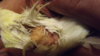 DSCF3161.JPG