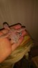 IMG_20170301_174106.jpg
