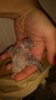 IMG_20170301_174003.jpg