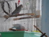 DSCN0039.JPG