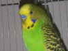 20170303_071929.jpg