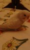 IMG-20170303-WA0016.jpg