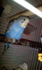 IMG-20170304-WA0022.jpeg
