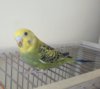 IMG_20170304_190605_107.jpg