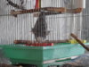 DSCN0068.JPG
