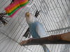 DSCN0053.JPG
