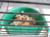 DSCN0075.JPG