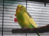 DSCN0077.JPG