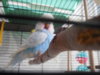 DSCN0080.JPG
