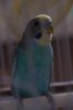 DSC04677.JPG