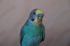 DSC04702.jpg