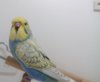 IMG_20170305_221613.jpg