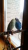 IMG_20170306_153843_043.jpg