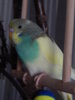DSCN3575.JPG