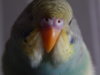 DSCN3579.JPG
