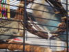 DSCN0090.JPG