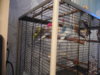 DSCN0092.JPG