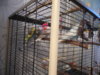 DSCN0093.JPG