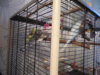 DSCN0095.JPG