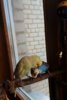 IMG_20170307_161622_051.jpg