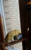 IMG_20170307_161315_153.jpg