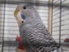 DSCN0121.JPG