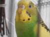 DSCN0126.JPG