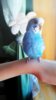 IMG_20170308_135435_962.jpg