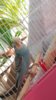 ^48AFB125BA2F44B75CDE8BECD00EDCD263CC871A0C58085ACB^pimgpsh_fullsize_distr.jpg