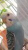 ^A988DDECE2A18768DE63B6A11C37F14D6473A11EBC9BF04F17^pimgpsh_fullsize_distr.jpg