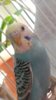 ^DF9A0A25CF7F61E85D501F8295B2F1A5433D168E21BB09F000^pimgpsh_fullsize_distr.jpg