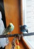 IMG_20170312_094729_618.jpg