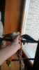 IMG_20170312_121813_435.jpg