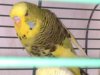 20170314_1115521.jpg