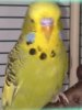 20170314_1116531.jpg