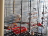 DSCN0269.JPG