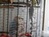 DSCN0271.JPG