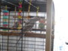 DSCN0293.JPG