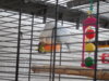 DSCN0295.JPG