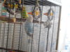 DSCN0298.JPG
