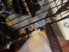 DSC01453.JPG