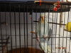 DSC01445.JPG