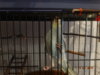 DSC01444.JPG
