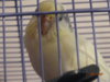 DSC01442.JPG