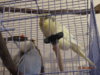 DSC01441.JPG