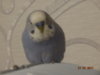 DSC01431.JPG