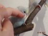 DSC01430.JPG