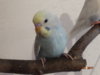 DSC01428.JPG