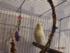 DSC01426.JPG